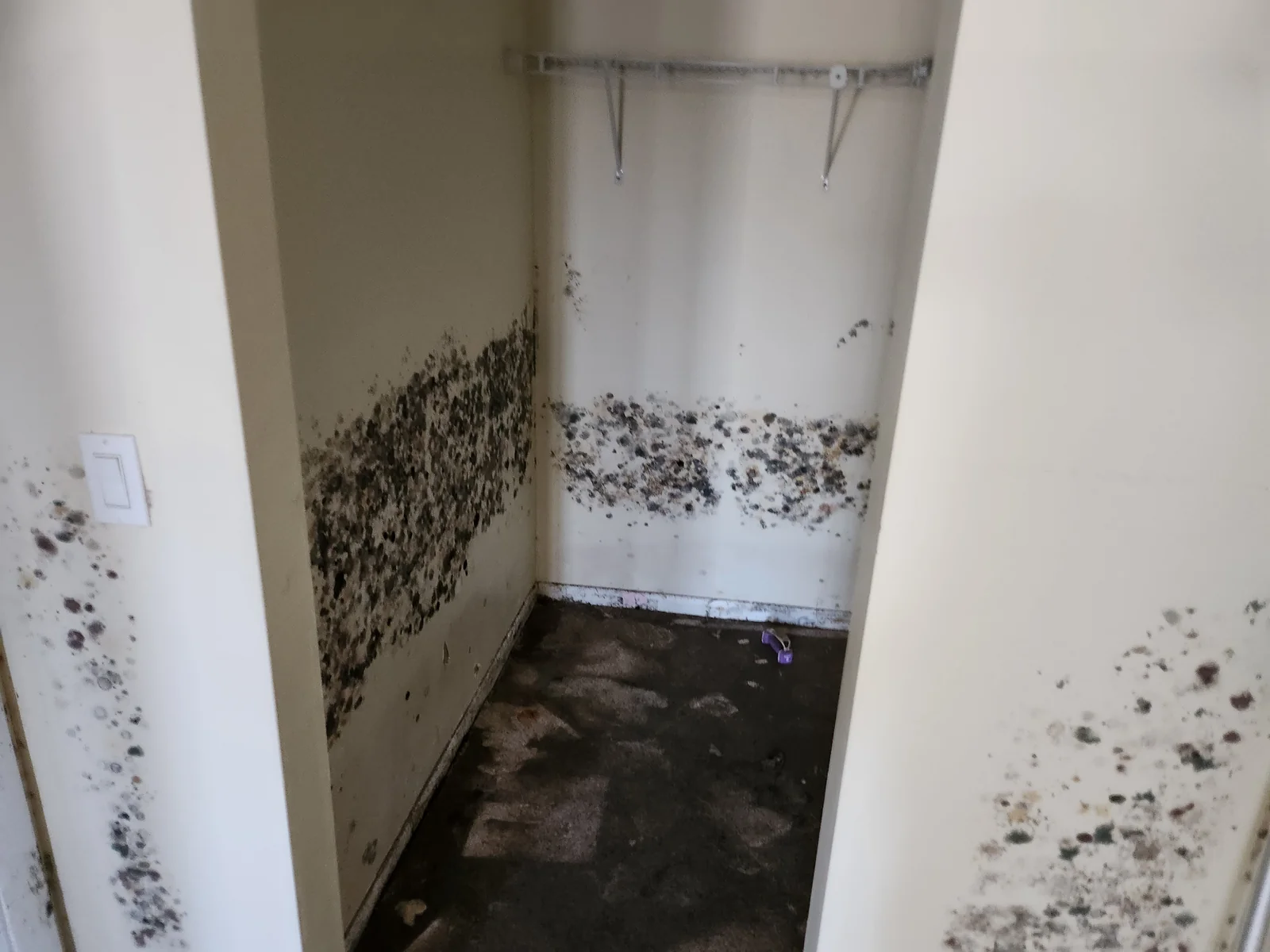 Dark mold on the walls and floor of a closet
